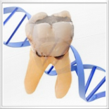 Test Dna parodontale